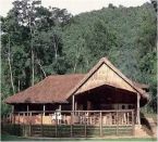 Sanctuary Gorilla Forest Camp